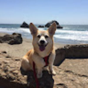 Meet your Posher, Wing